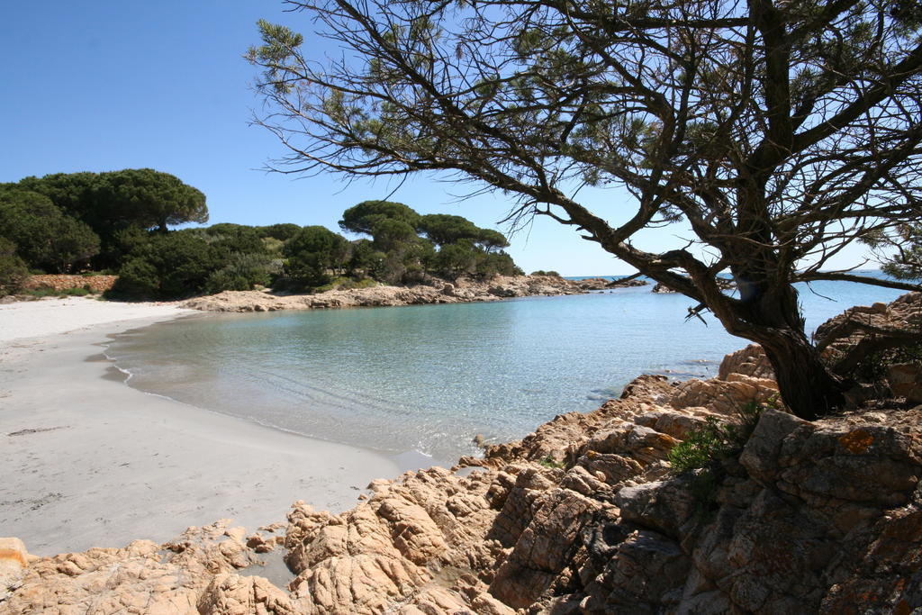 Villa La Conchiglia Rooms Cala Liberotto Esterno foto